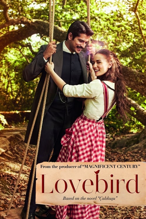 مسلسل طائر النمنمة الحلقة 14